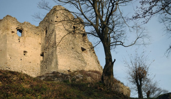 Fotka - Pamiatky – Brekovský hrad
